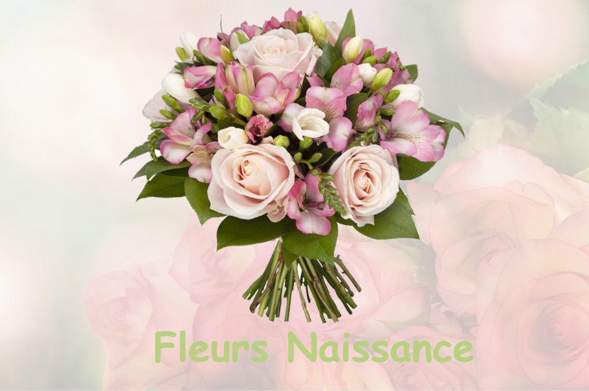 fleurs naissance PIETS-PLASENCE-MOUSTROU